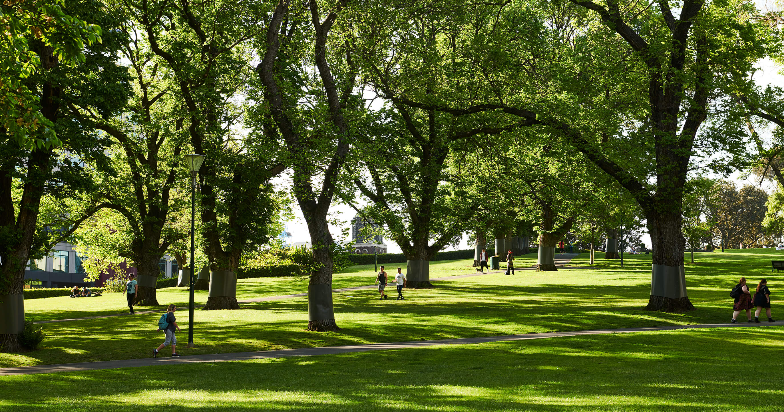 Flagstaff gardens